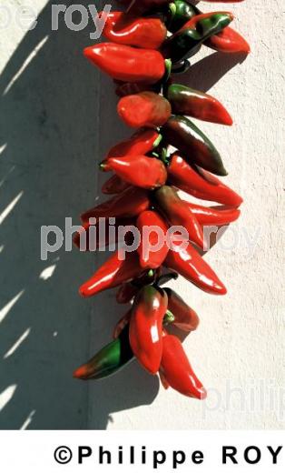 Piments (00A01120.jpg)