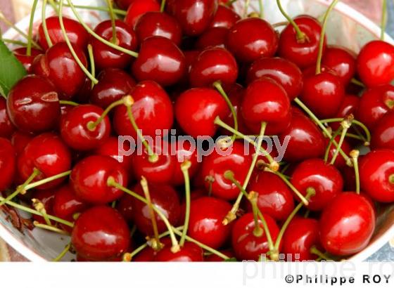 Cerises (00A03418.jpg)