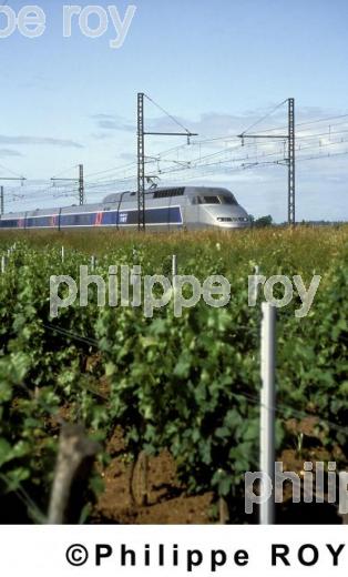 Le transport ferroviaire (00E01432.jpg)