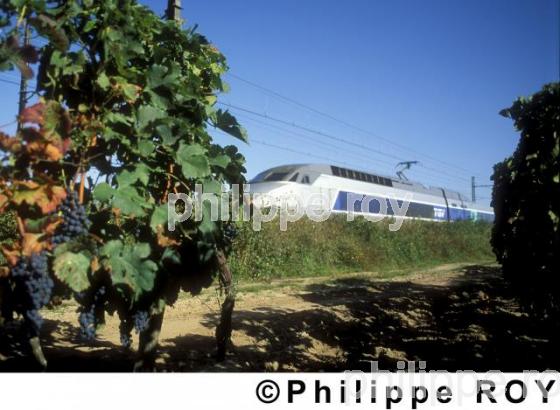 Le transport ferroviaire (00E01437.jpg)