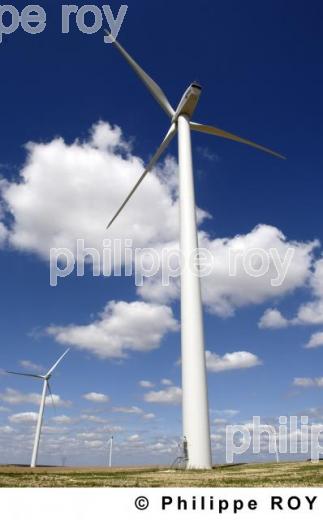 Eoliennes (00E02418.jpg)