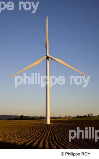 Eolienne - Economie (00E03631.jpg)