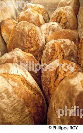 PAIN DE CAMPAGNE, BOULANGERIE (00E04008.jpg)