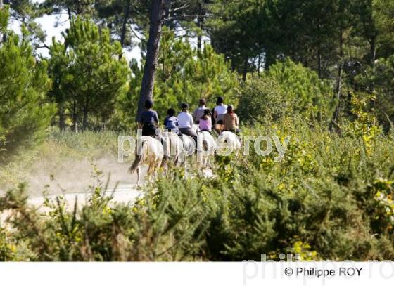 Randonne equestre - Sport terrestre (00S04012.jpg)