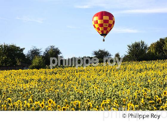 MONTGOLFIERE SUR CHAMP DE TOURNESOL , PERIGORD BLANC,  DORDOGNE. (00S05724.jpg)