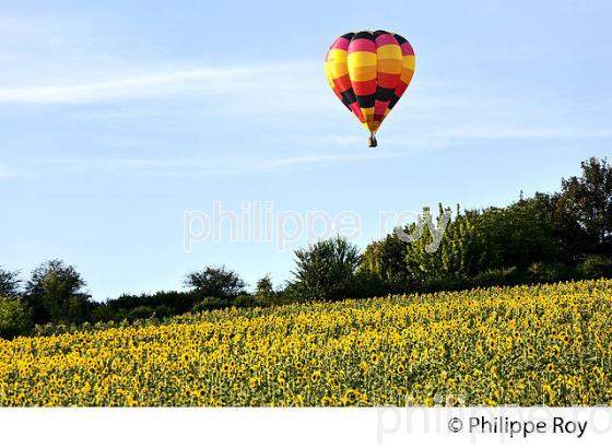 MONTGOLFIERE SUR CHAMP DE TOURNESOL , PERIGORD BLANC,  DORDOGNE. (00S05725.jpg)