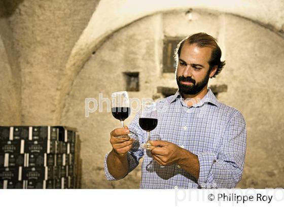 DOMAINE DES LEBRES, VIN BIO, IGP ARDECHE, BANNE, VALLEE DU CHASSEZAC, BAS-VIVARAIS, ARDECHE. (07F00119.jpg)