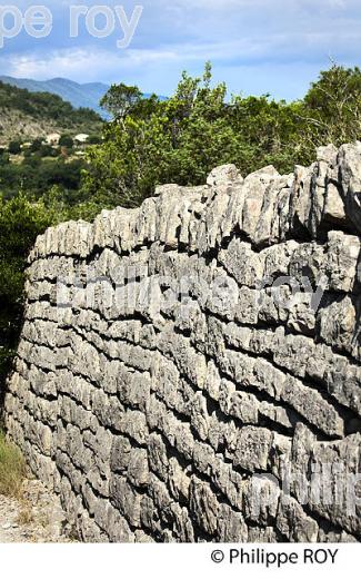 RUINE VILLAGE ABANDONNE,  GORGES DU CHASSEZAC,  LES ASSIONS, BAS-VIVARAIS, ARDECHE. (07F00518.jpg)