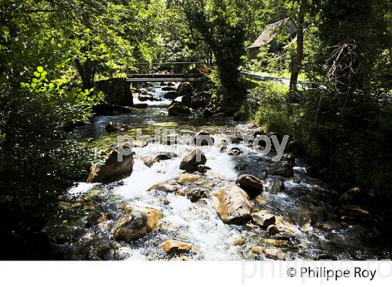 TORRENT DE MONTAGNE, MASSIF DU VALIER,  COUSERANS, ARIEGE. (09F00239.jpg)