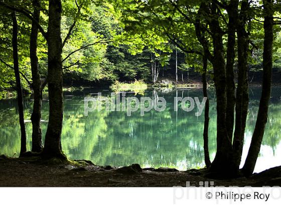 LE LAC DE BETHMALE,  VALLEE DE BETHMALE, COUSERANS, ARIEGE. (09F01630.jpg)