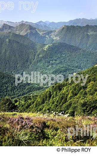 LE  COL D' AGNES, COMMUNE LE PORT,   COUSERANS, ARIEGE. (09F01839.jpg)