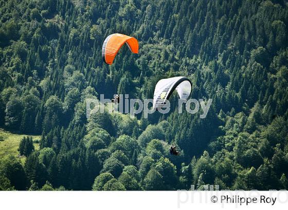 PARAPENTE AU  COL DE PORT  DE LERS, VALLEE DE L' ARAC, COUSERANS, ARIEGE. (09F01927.jpg)