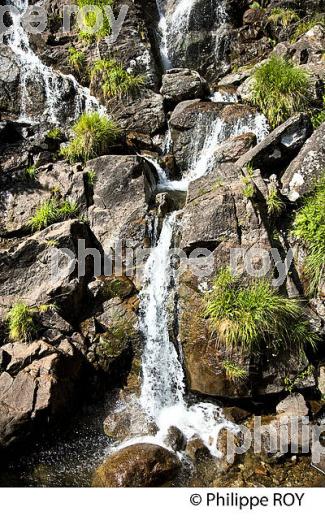 CASCADE, VALLEE DE VICDESSOS, COUSERANS, ARIEGE. (09F02012.jpg)