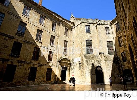 LE  PALAIS DES ARCHEVEQUES, VILLE DE NARBONNE, AUDE, OCCITANIE. (11F00226.jpg)