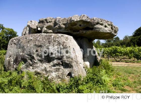 Dolmen - Charente (16F00234.jpg)