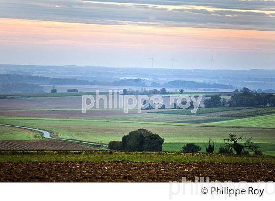 PAYSAGE AGRICOLE DU RUFFECOIS, TUMULUS NEOLITHIQUE   DE TUSSON , VALLEE D' AULME,  CHARENTE. (16F01417.jpg)