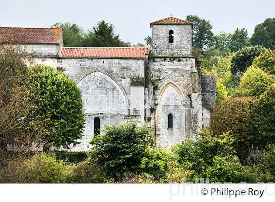 EGLISE ET VILLAGE  DE  BOUTEVILLE,   GRANDE CHAMPAGNE,   CHARENTE. (16F01714.jpg)
