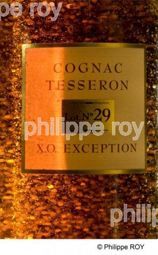 Cognac (16V00628.jpg)