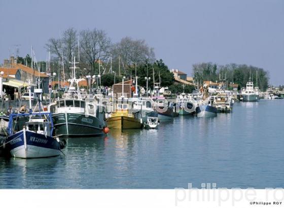 Ile d' Olron - Charente Maritime (17F00739.jpg)