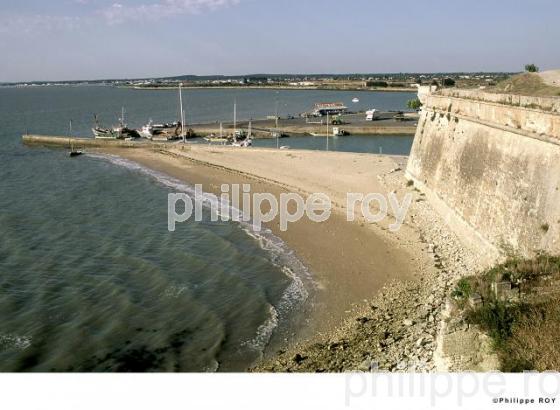 Ile d' Olron - Charente Maritime (17F00815.jpg)