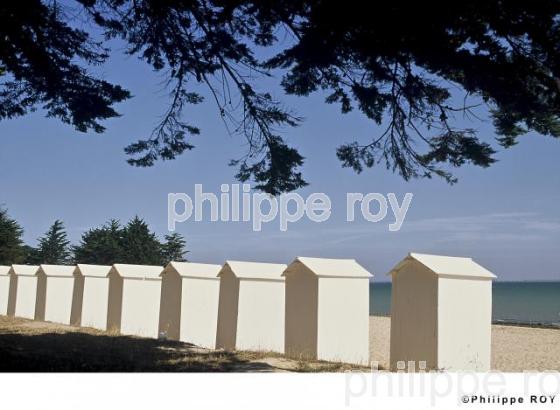 Ile de R - Charente Maritime (17F01118.jpg)