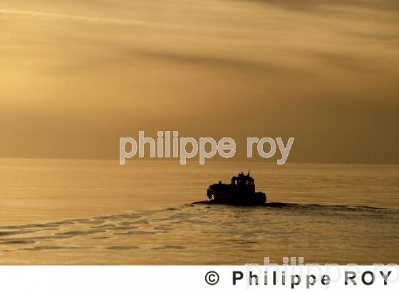 Ile de R - Charente Maritime (17F01132.jpg)