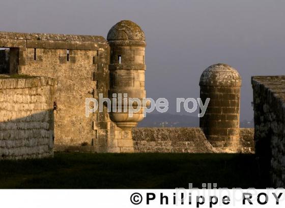 Fort Lupin - Charente Maritime (17F01325.jpg)