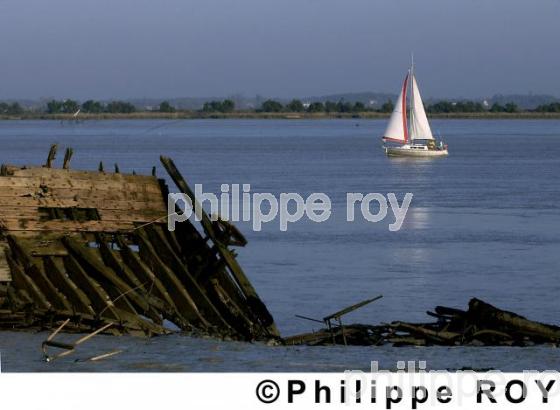 La Charente  - Charente Maritime (17F01410.jpg)