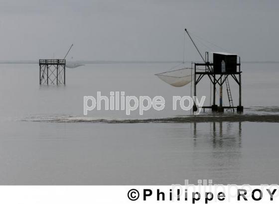 Carrelet - Charente Maritime (17F01514.jpg)