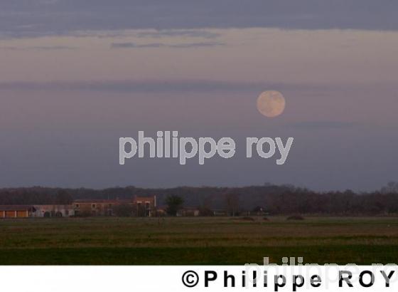 Fouras - Charente Maritime (17F01736.jpg)