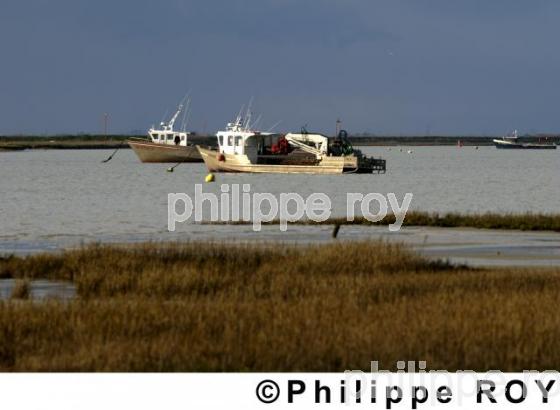 Mytiliculture - Charente Maritime (17F02124.jpg)
