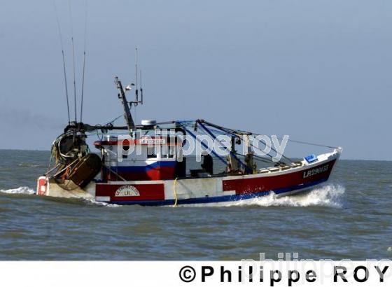 Pretuis d' Antioche - Charente Maritime (17F04201.jpg)