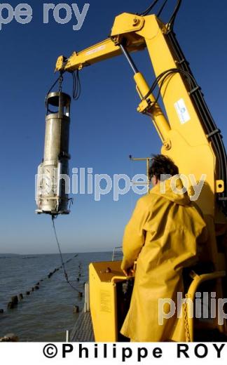 Mytiliculture - Charente Maritime (17F04601.jpg)