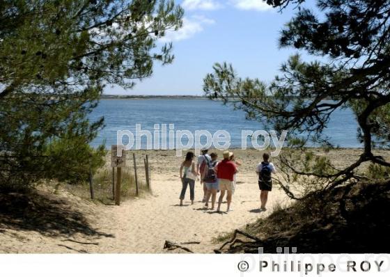 Ile de R - Charente Maritime (17F04809.jpg)