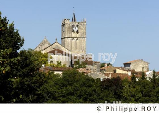 Saint Savinien - Charente Maritime (17F05402.jpg)