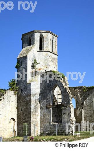 RUINE EGLISE SAINT-ETIENNE  A MARANS, MARAIS POITEVIN, CHARENTE MARITIME. (17F07916.jpg)