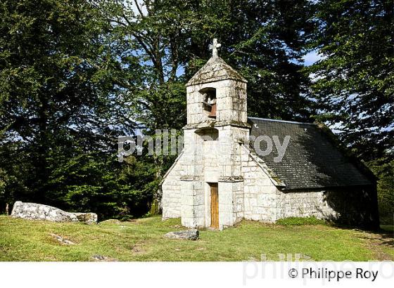 CHAPELLE DU RAT, PLATEAU DE MILLEVACHES, VALLEE DE LA VEZERE,  CORREZE, LIMOUSIN. (19F01414.jpg)