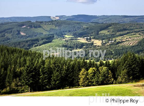 TOUR PANORAMIQUE, MONT BESSOU, MEYMAC,  PLATEAU DE MILLEVACHES, CORREZE, LIMOUSIN. (19F01613.jpg)