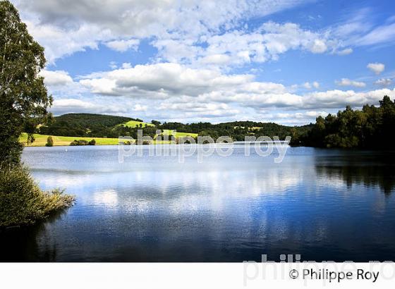 LAC DU CHAMMET, VALLEE DE LA VIENNE,   PLATEAU DE MILLEVACHES,  CORREZE, LIMOUSIN. (19F01801.jpg)