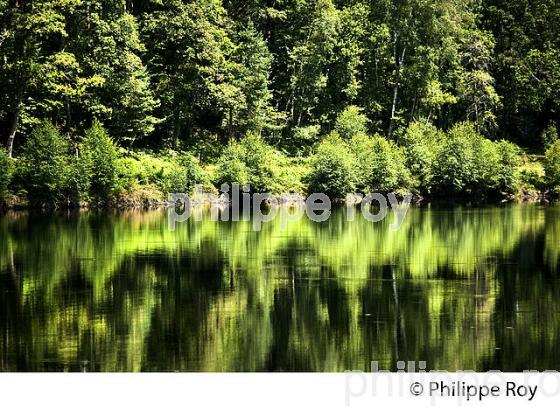 LAC DU SALVANEIX, VALLEE DE LA CORREZE,  PLATEAU DE MILLEVACHES, CORREZE, LIMOUSIN. (19F01933.jpg)