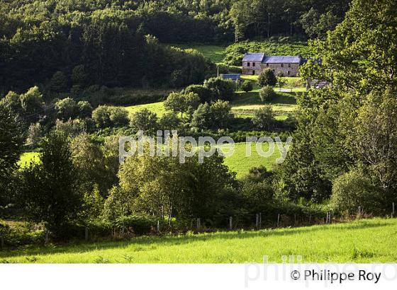 PAYSAGE AGRICOLE, PLATEAU DE MILLEVACHES, VALLEE DE LA VEZERE,  CORREZE, LIMOUSIN. (19F01938.jpg)