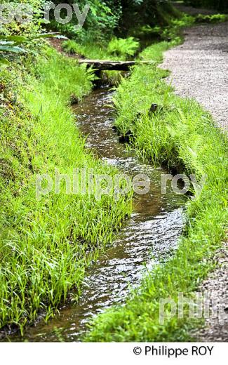 LE CANAL DES MOINES, ABBAYE CISTERCIENNE,  AUBAZINE, CORREZE, LIMOUSIN. (19F02309.jpg)