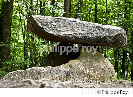 DOLMEN, LE PUY PAULIAT , VILLAGE D'  AUBAZINE, CORREZE, LIMOUSIN. (19F02338.jpg)