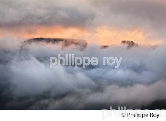 LE MONT BESSOU,   PLATEAU  DE MILLEVACHES, CORREZE. (19F03822.jpg)