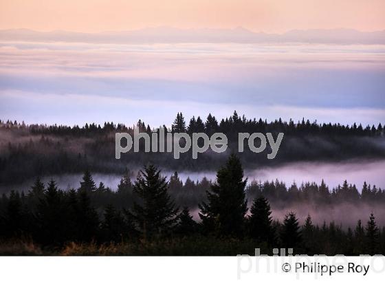 LE MONT BESSOU,   PLATEAU  DE MILLEVACHES, CORREZE. (19F03825.jpg)