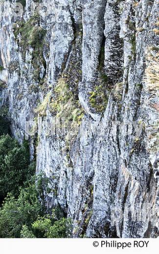 LES ORGUES DE BORT LES ORGUES, HAUTE  VALLEE DE LA DORDOGNE, CORREZE. (19F04925.jpg)