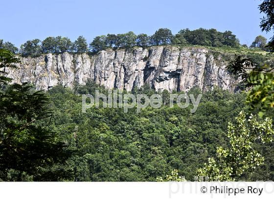 LES ORGUES DE BORT LES ORGUES, HAUTE  VALLEE DE LA DORDOGNE, CORREZE. (19F04931.jpg)
