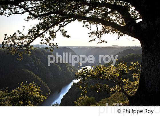 SITE DE SAINT NAZAIRE, HAUTE  VALLEE DE LA DORDOGNE, CORREZE. (19F05008.jpg)