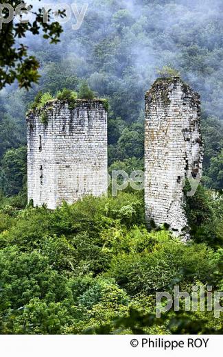 LES TOURS CARBONNIERES, XAINTRIE,   HAUTE  VALLEE DE LA DORDOGNE,  CORREZE. (19F05324.jpg)