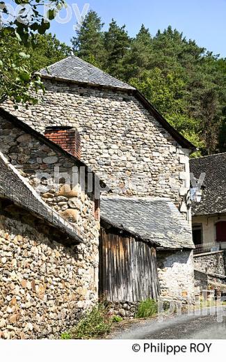 MONCEAUX SUR DORDOGNE,  HAUTE  VALLEE DE LA DORDOGNE,  CORREZE. (19F05918.jpg)